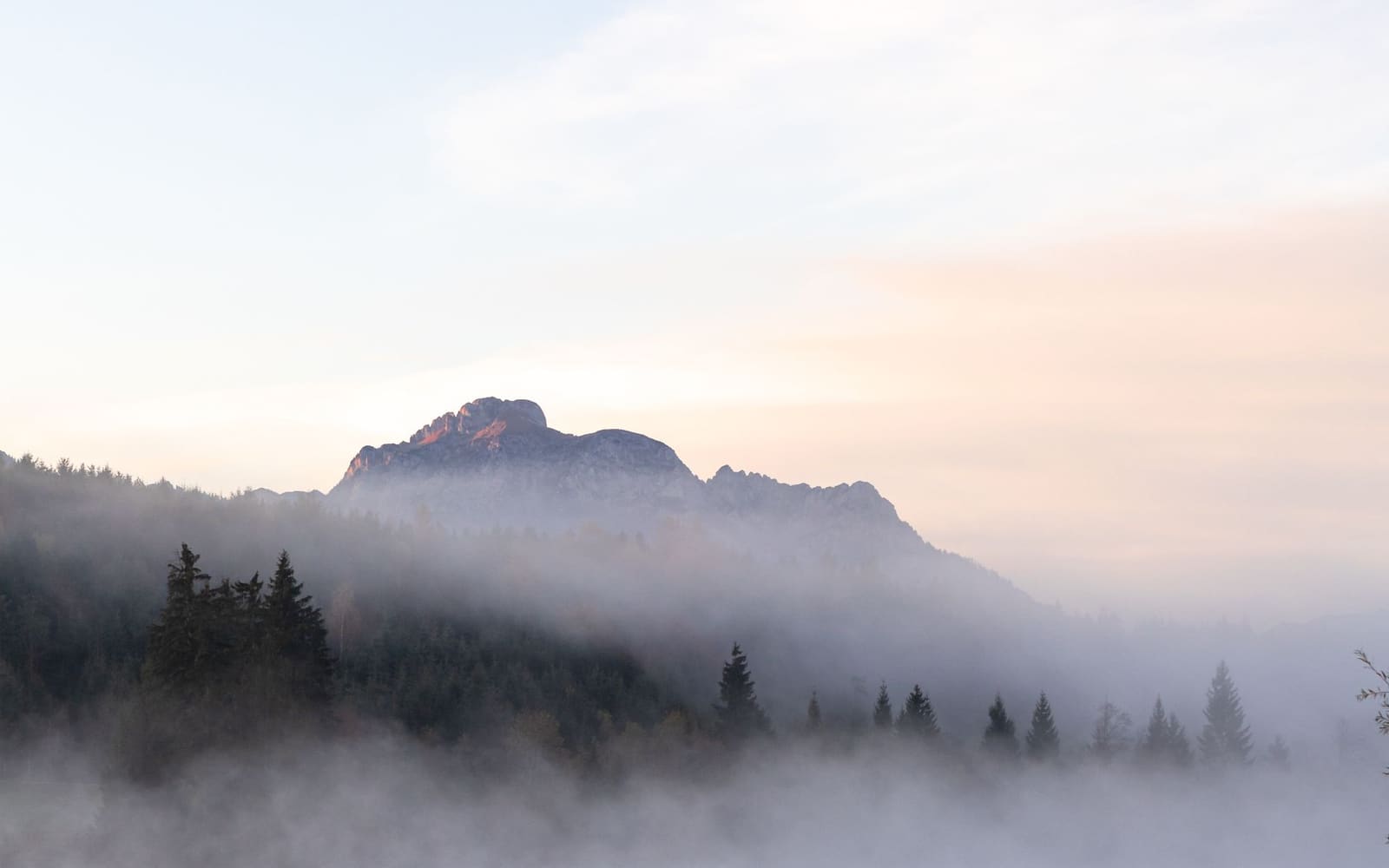 Nebbia sul lago